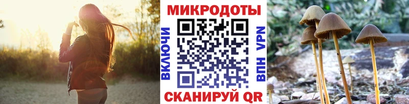 мега маркетплейс  Выборг  Галлюциногенные грибы мухоморы 